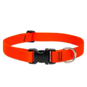 Nylon Dog Collar